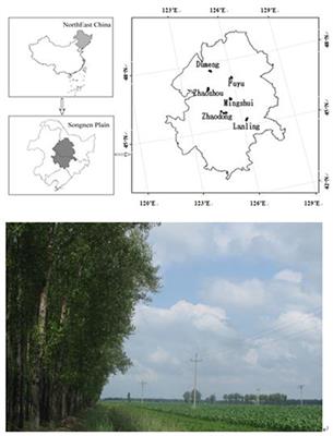 Shelterbelt Poplar Forests Induced Soil Changes in Deep Soil Profiles and Climates Contributed Their Inter-site Variations in Dryland Regions, Northeastern China